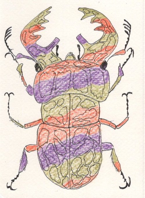 昆虫イラストのtwitterイラスト検索結果