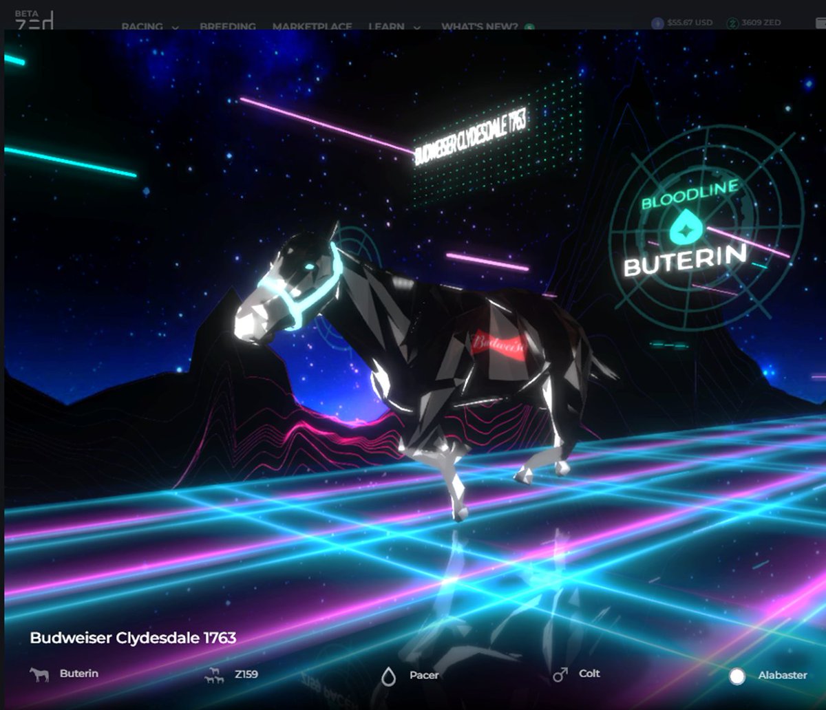 JRRtokenNFT's tweet photo. Thanks for the @zed_run horse @budweiserusa! Very awesome #Clydesdale Airdrops for #budverse heritage #NFT holders. https://t.co/mylhKKQY2M