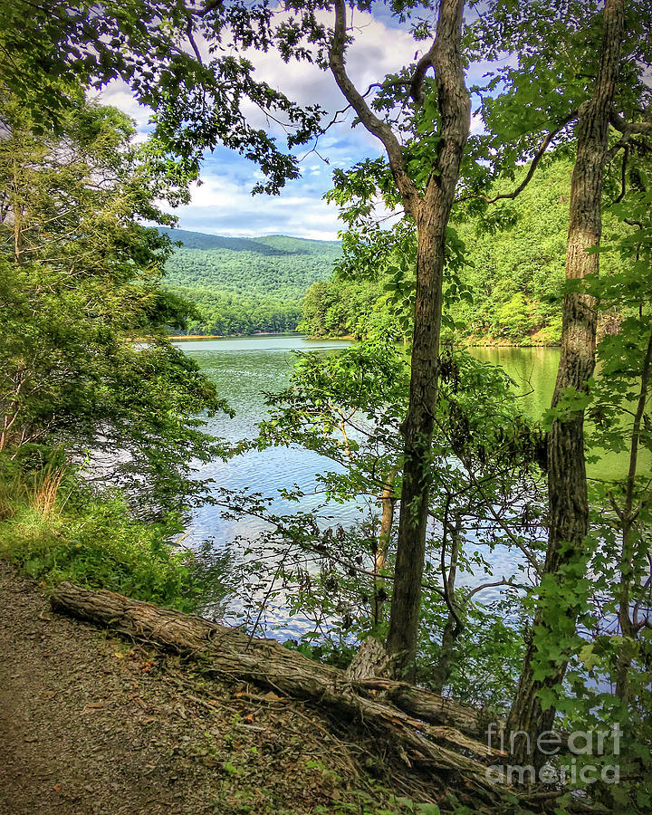 KerriFar's tweet photo. "If you wish to know the divine, feel the wind on your face and the warm sun on your hand.” Buddha ~ https://t.co/8BgOFqYrK6  #HungryMotherStatePark #VirginiaStateParks ~ #NewRiverNature - https://t.co/dT8pYKy8V1 - #NewRiverNature #VirginiaViews #VirginiaOutdoors https://t.co/5BfdAsaakr