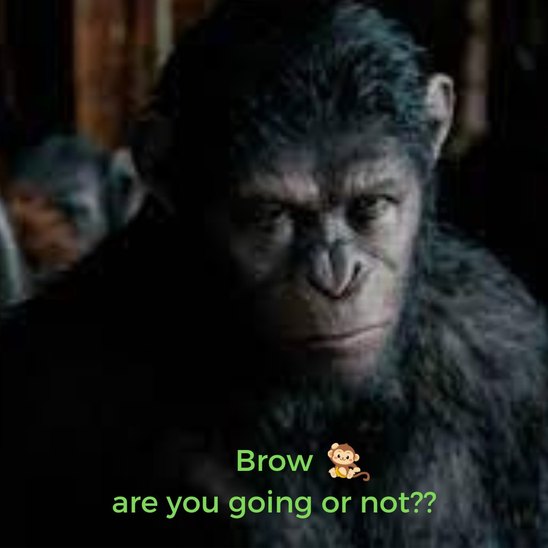 Monkey Max tweet media