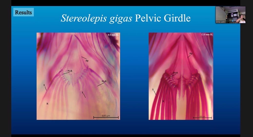 Jess S Glanz tweet media