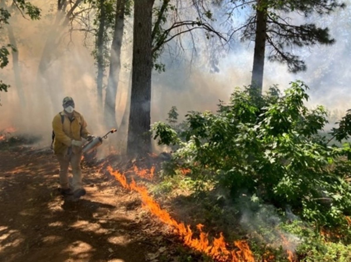 Ag&Natural Resources (@ucanr) on Twitter photo A new group of local residents in El Dorado and Amador Counties organized by UCCE forestry advisor, Susie Kosher <a href="/UCsierraforest/">Susie Kocher</a> is dedicated to helping private landowners conduct #prescribedburns on their own properties.#wildfire
bit.ly/3JB1L21 A new group of local residents in El Dorado and Amador Counties organized by UCCE forestry advisor, Susie Kosher <a href="/UCsierraforest/">Susie Kocher</a> is dedicated to helping private landowners conduct #prescribedburns on their own properties.#wildfire
bit.ly/3JB1L21