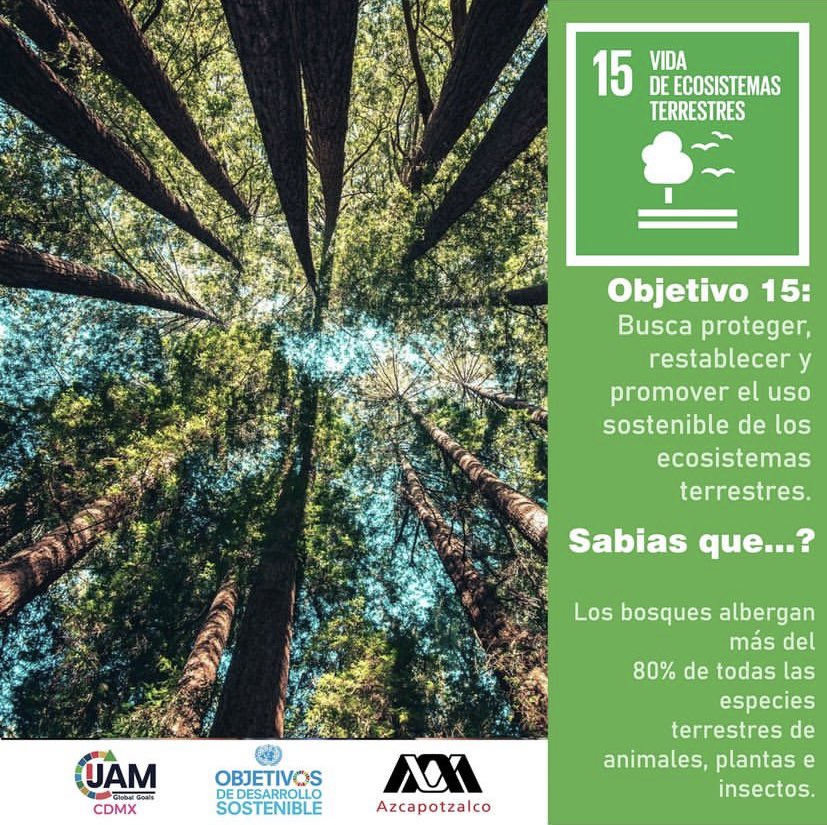 GlobalGoalsCDMX's tweet photo. La Agenda plantea 17 Objetivos con 169 metas de carácter integrado e indivisible que abarcan las esferas económica, social y ambiental. 

Te compartimos una meta del objetivo número 15 y un dato sobre el. ¿Lo conocías? 
#globalgoals https://t.co/UGvhPqcLdw