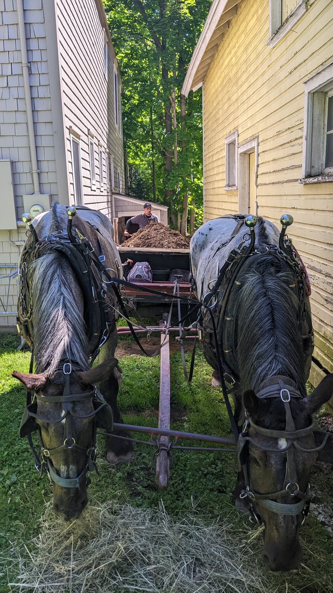 Mr. Wick tweet media