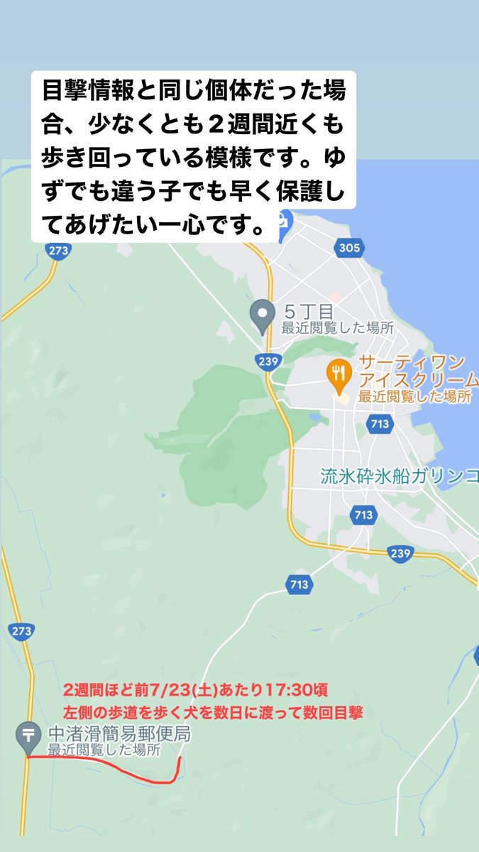 c83517347's tweet photo. ゆずに似た犬の紋別での目撃情報をまとめました。ゆずか全く違う子か分かりませんが早く見つけてあげたいです。発見したら見失わない様にしていただき、わたし共の連絡先、又は警察の方へ連絡して下さると幸いです。 https://t.co/iwEDlefTXv