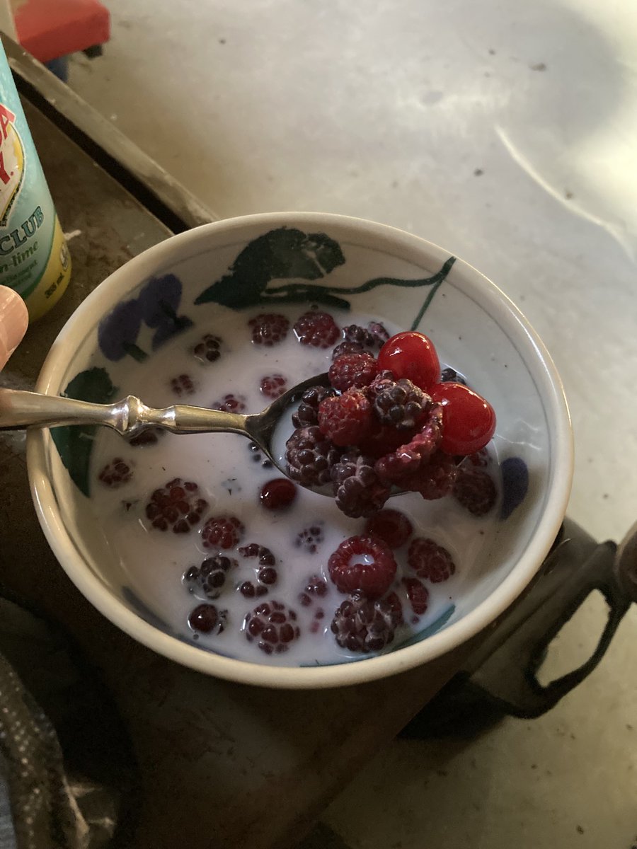 bforsber's tweet photo. Desert time in the shop means anything red with milk. Sour cherries, white raspberries, red raspberries, Saskatoon’s, currents, goose berries, strawberries and a few haskamps #PrairieGrown https://t.co/anf4ulPi0z