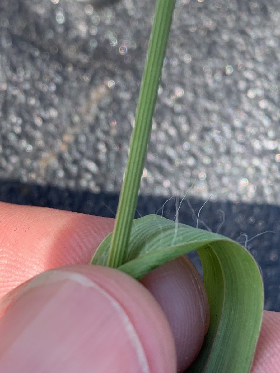 Matt Montgomery tweet media