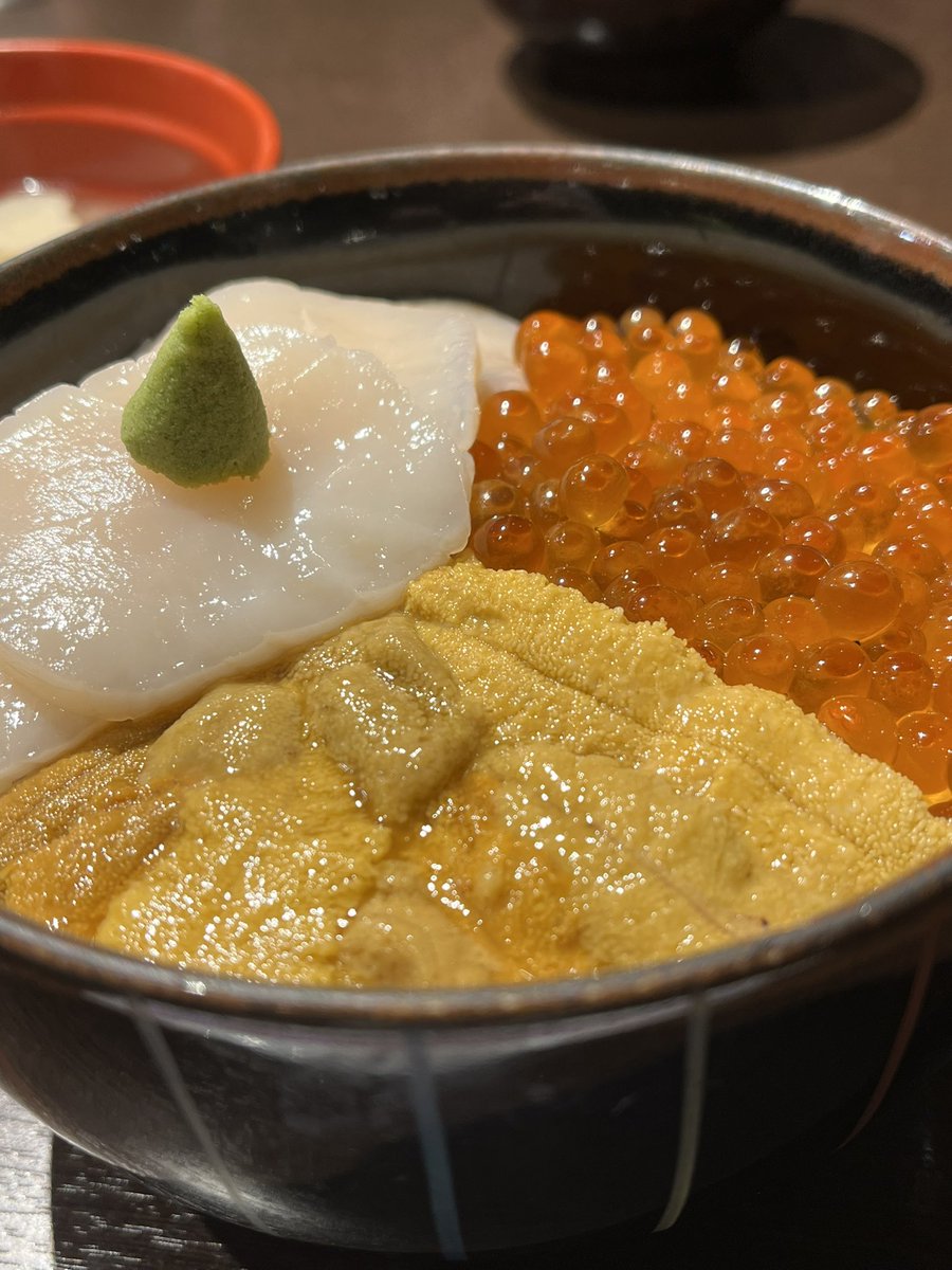 先日人生初の北海道に行きまして、それはそれは美味しい海鮮丼をいただきました🤤
もう一回食べたい…
#飯テロ
