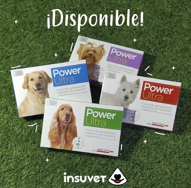 InsuvetAragua's tweet photo. ¡Ultra protección para tu mascota!🐾🐶

Mantén a tu mejor amigo libre de las molestas pulgas y garrapatas con #PowerUltra

🐾Protección por 30 días 
🐾Elimina el 100% de las garrapatas.
🐾Se puede aplicar en cualquier momento. 

¡Adquiérelo en nuestra tienda! https://t.co/NnQeYG1nAk