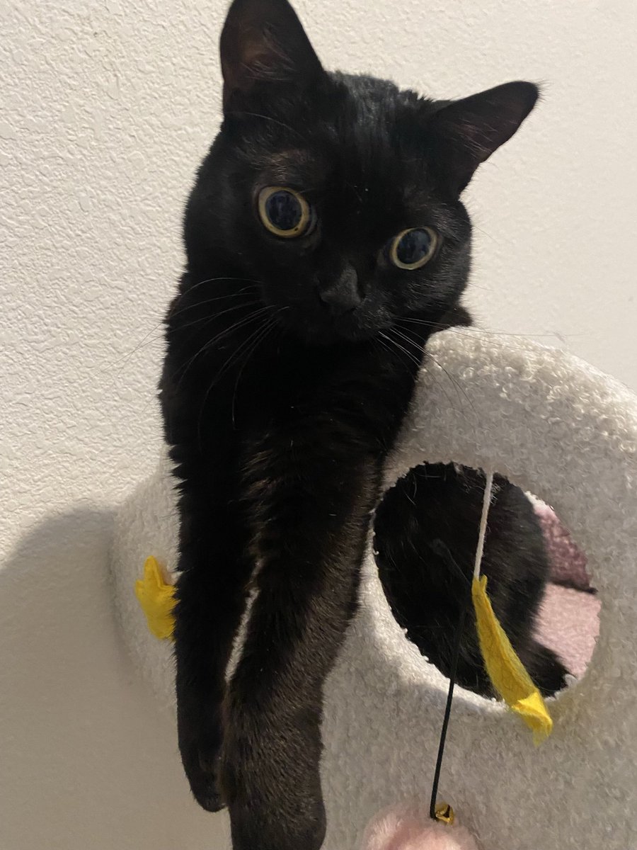 what’s goin on in that little brain?