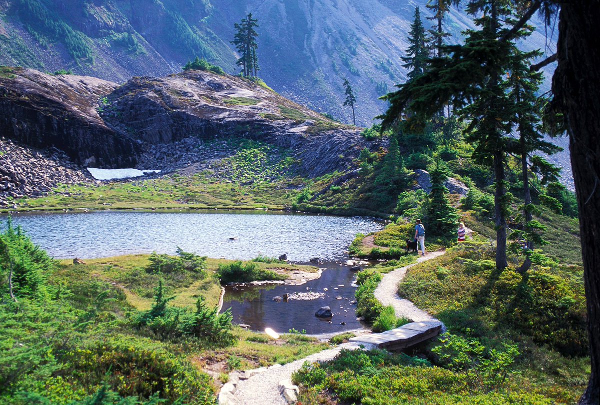 Forest Service NW tweet media