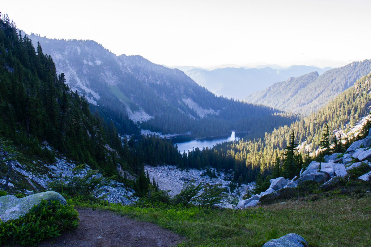 Forest Service NW tweet media