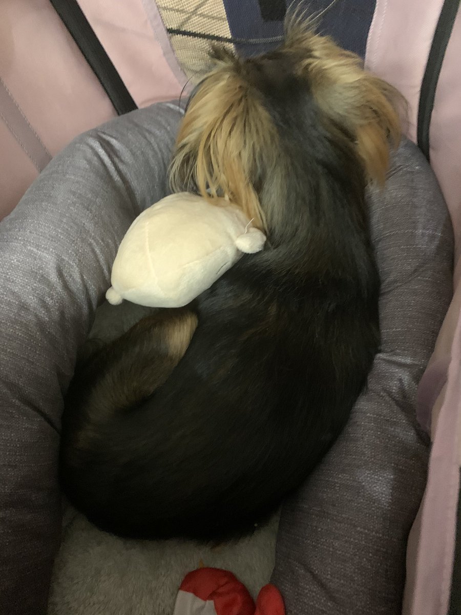 Ellie Mae and her Tommy doll