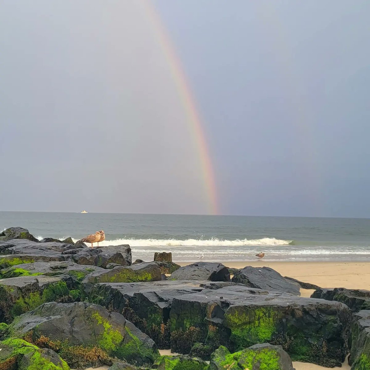ColomboLaurie's tweet photo. Crazy weather day today 🌦🌈 #somewhereovertherainboe #alwayslookup #alwayssomethingtosee #ognj #oceangrovenj #oceangrove07756 #oceangrovebeach #oceangrovebeaches #summeratthejerseyshore https://t.co/8nmTDa7dpb