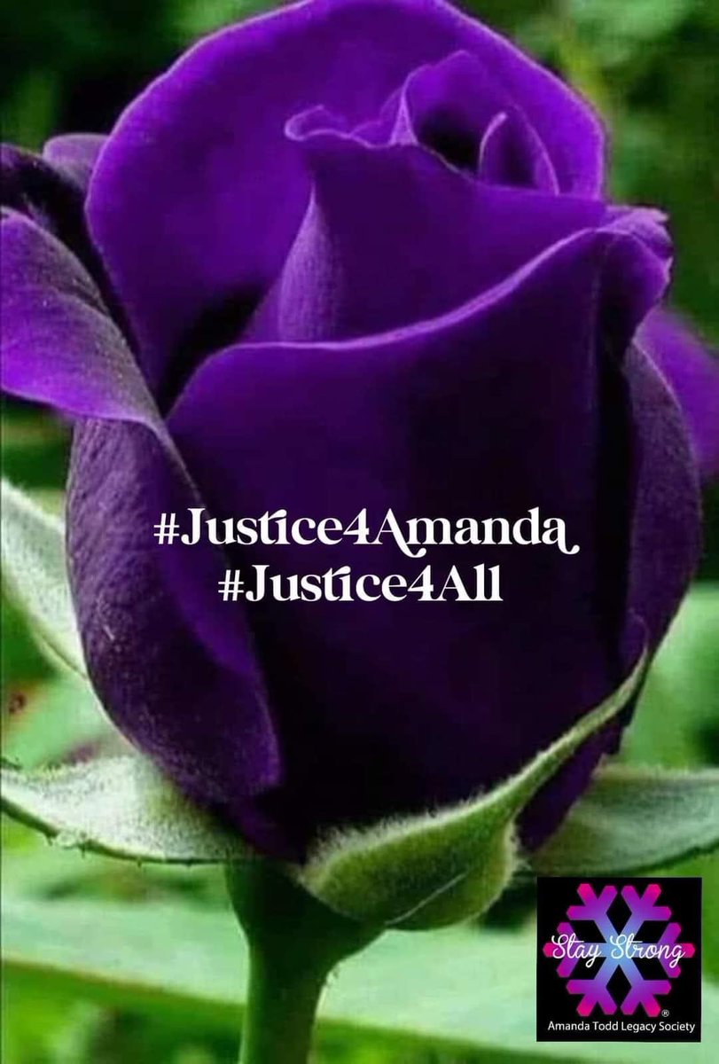 Change your profile picture or share this please. 
Do something purple 💜💜💜💜 with <a href="/c_todd/">Carol Todd</a> 
Let's flood the internet with purple for #AmandaTodd #Justice4Amanda #Justice4All ❄️💜❄️