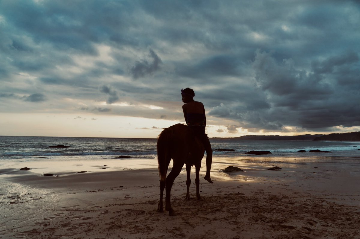 YStrizh's tweet photo. week trip to the sumba. 
wild and natural. 
filmed beauty
#NFTartists #ystrizh https://t.co/txcyWY5cBr