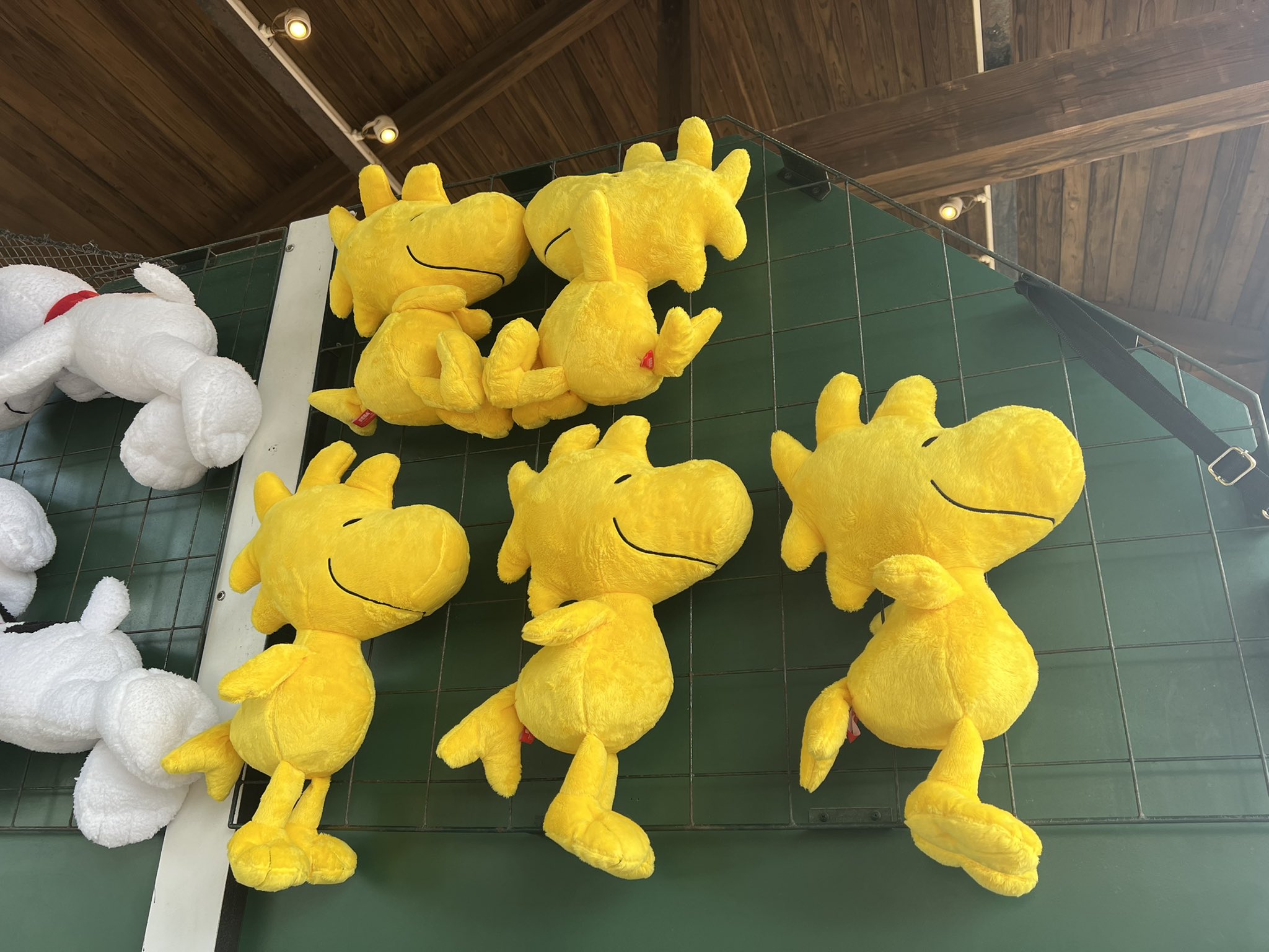 USJウッドストック
