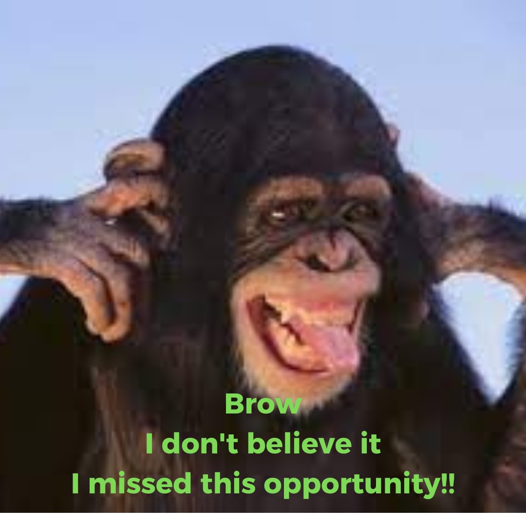 Monkey Max tweet media