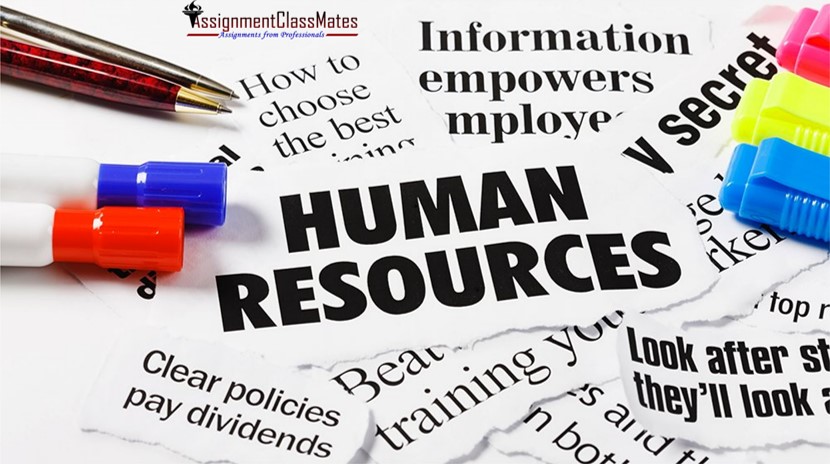 AssignmentMates's tweet image. Are you looking for human resources management assignment help online? Don’t waste your time here and there! Contact us and get your human resources assignment help on time.
Order Online: assignmentclassmates.com/human-resource…
#HRAssignmentHelp #HumanResourceAssignmentHelp