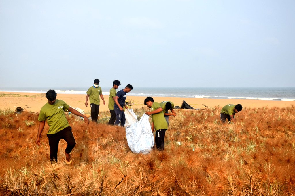 OdishaSeaTurtle's tweet photo. Cleaning up the contaminated habitat of the spinifex coastal plant that help stabilize the sand and these grasses play an important role in the entire sand dune eco-system.
#odishaCoast #OPSAtrust #ClimateAction
@CMO_Odisha
@SDG2030
@PradeepJenaIAS
@moefcc
@ErikSolheim https://t.co/1Ba8S3ISGU