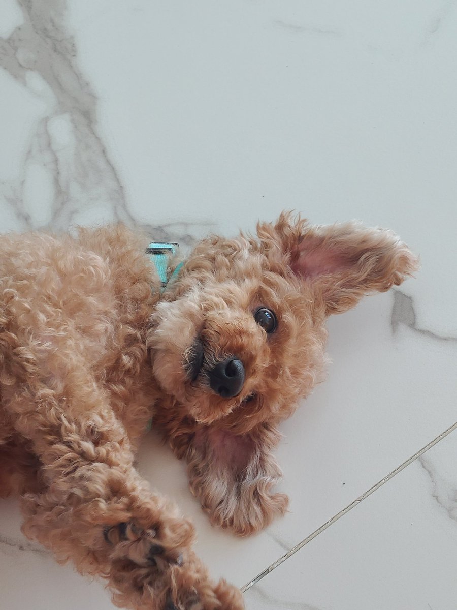 GreenWhaleee's tweet photo. 벌써 8월이라니.. https://t.co/nsphrdLVWG