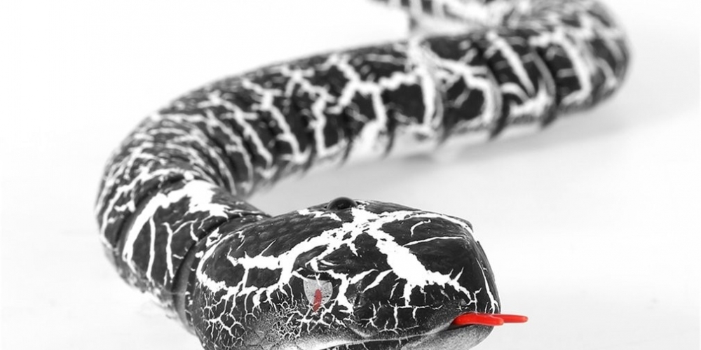 The snake has an egg remote conrol.🥳🥳🥳 #games #GamingNews #videogames 
Original: ToyHeavenShop1