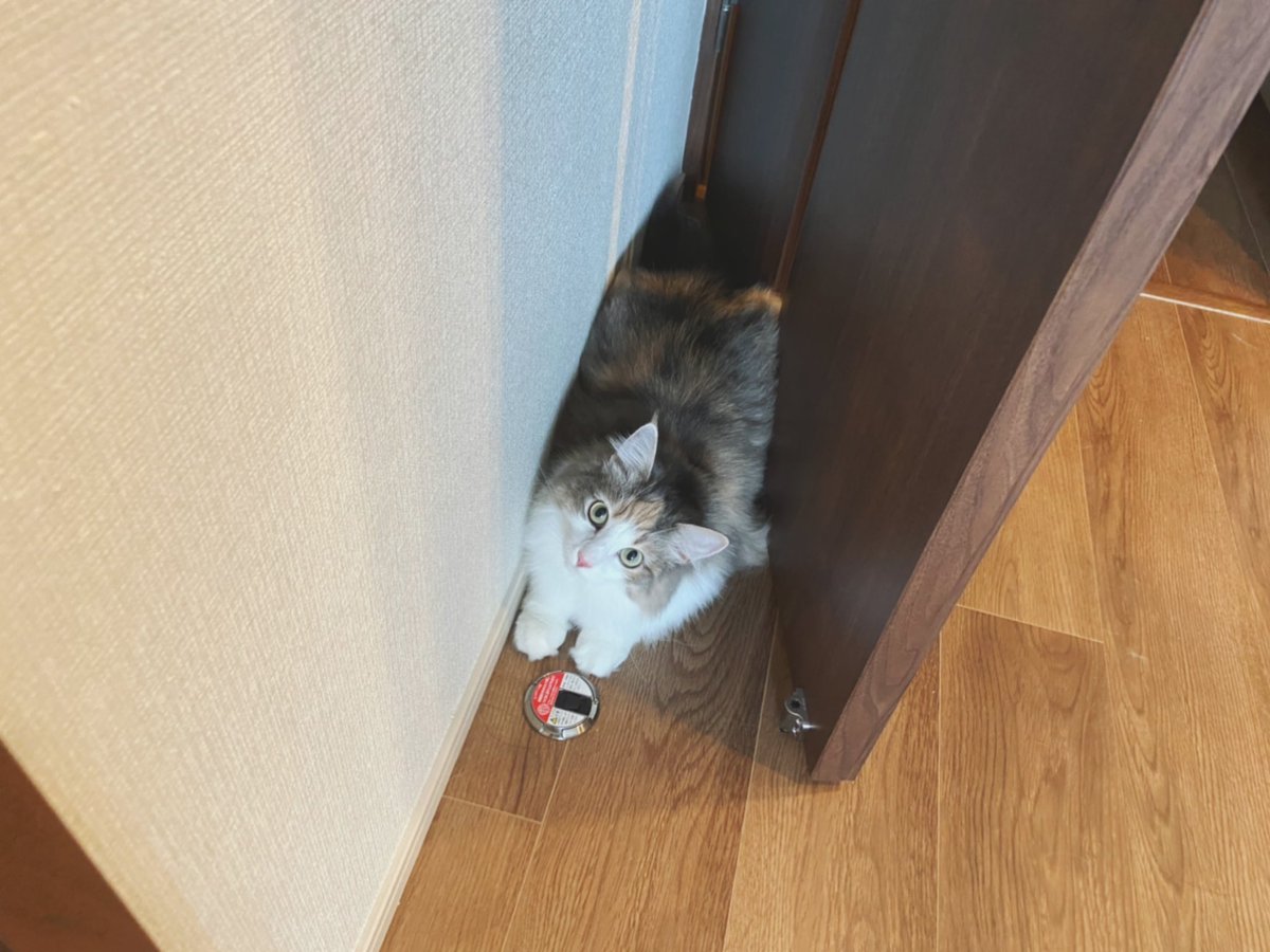 hotatechi's tweet photo. ワクチン打ちにいくよ https://t.co/mHVrI6HP7d
