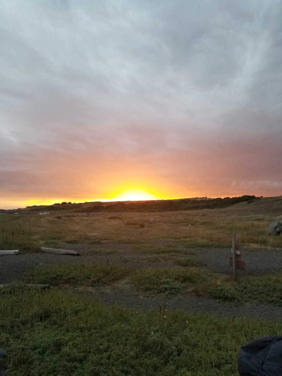 fisch_inthesea's tweet photo. Saying goodbye to the amazing people I've met and the beautiful sights. I'll miss you FHL 💕 here's to a REU-nion at SICB!! https://t.co/2k41nYhJtU