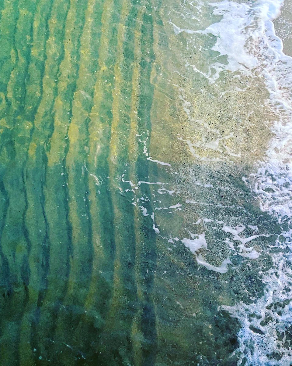 Day 463 straight in the bay. Water temp back up to 10 and perfectly clean and clear. #openwaterswimming #swimrise  #winterswimming #icebergers #seafordswimmers