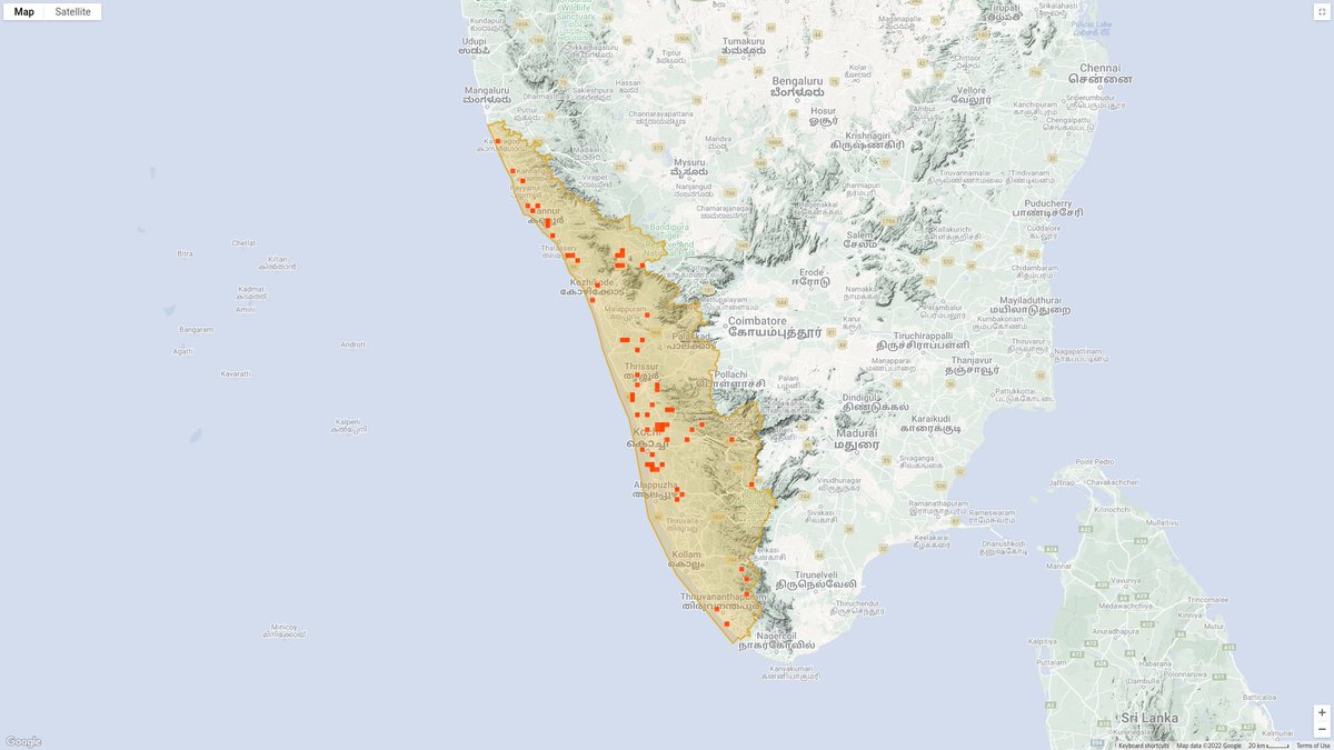 keralabio's tweet photo. National Moth Week @Moth_Week 2022 Contributions by #iNaturalistKerala  #KeralaBiodiversity  #Moth'ersKerala @zalmorapolymne1 @firos_ak @manojkmohan #MothsofKerala https://t.co/RiRJjlkXQ2