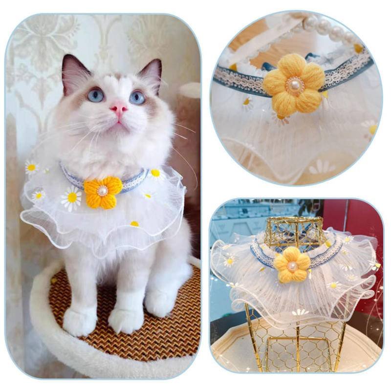 KimiKimJu's tweet photo. ~°••°~Accessories lucu &amp; gemas untuk kucing, anjing, monyet dll.~°••°~

A thread- https://t.co/OyqYi6EFnx