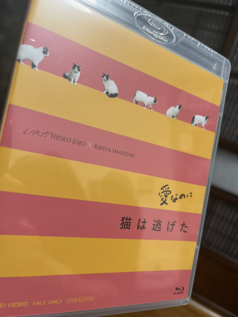 kawakitayumeki's tweet photo. メイキングで参加した映画のBlu-rayが届きました！僕は「猫は逃げた」の方を作っています！

#LR15
#猫は逃げた
#愛なのに https://t.co/TPF56F7owK