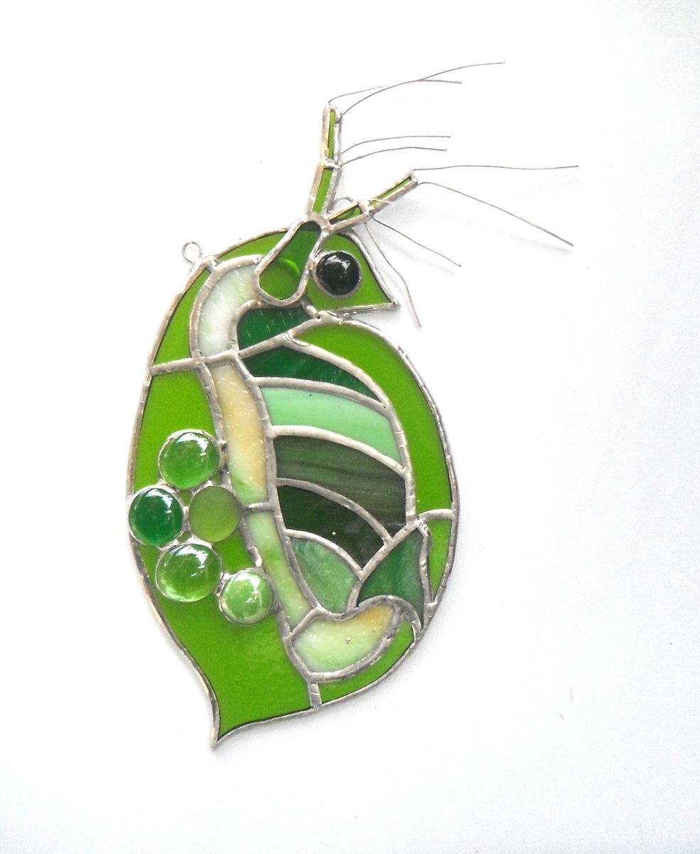 RosieKHart's tweet image. Apparently everyone wants more #StainedGlass #Zooplankton. #Cladocera. Available: etsy.com/shop/RosiesCol…