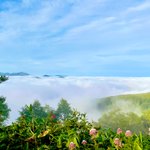 ツイートに含まれる画像