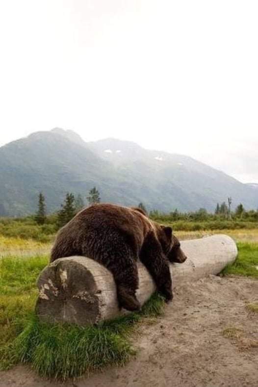 Dobro jutro radni narode,ajmo dikssseee na posao🤣