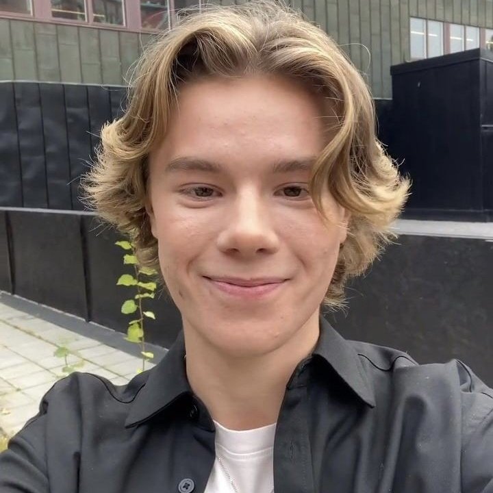 bashpIace's tweet image. my golden boys