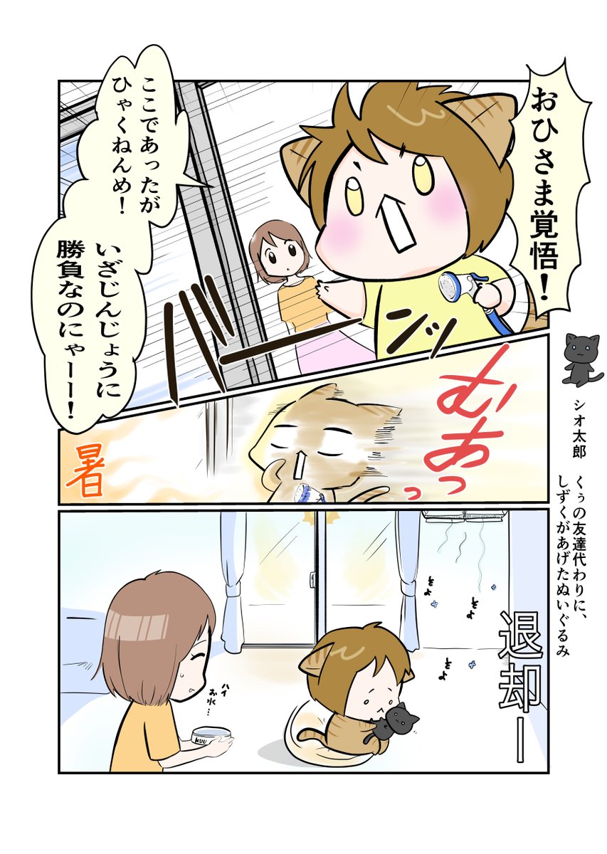 #スパダリにゃんこ 
#くぅの日常 第140話 
番外編 くぅのやさしさバトル

ハイスペックなスーパーダーリン、スパダリ猫を目指すくぅと、飼い主しずくの日常マンガ。

猛暑の夏。はりきりすぎる太陽に外で暮らすシオ兄貴のことが心配なくぅ。その解決策とは?

#創作マンガ 