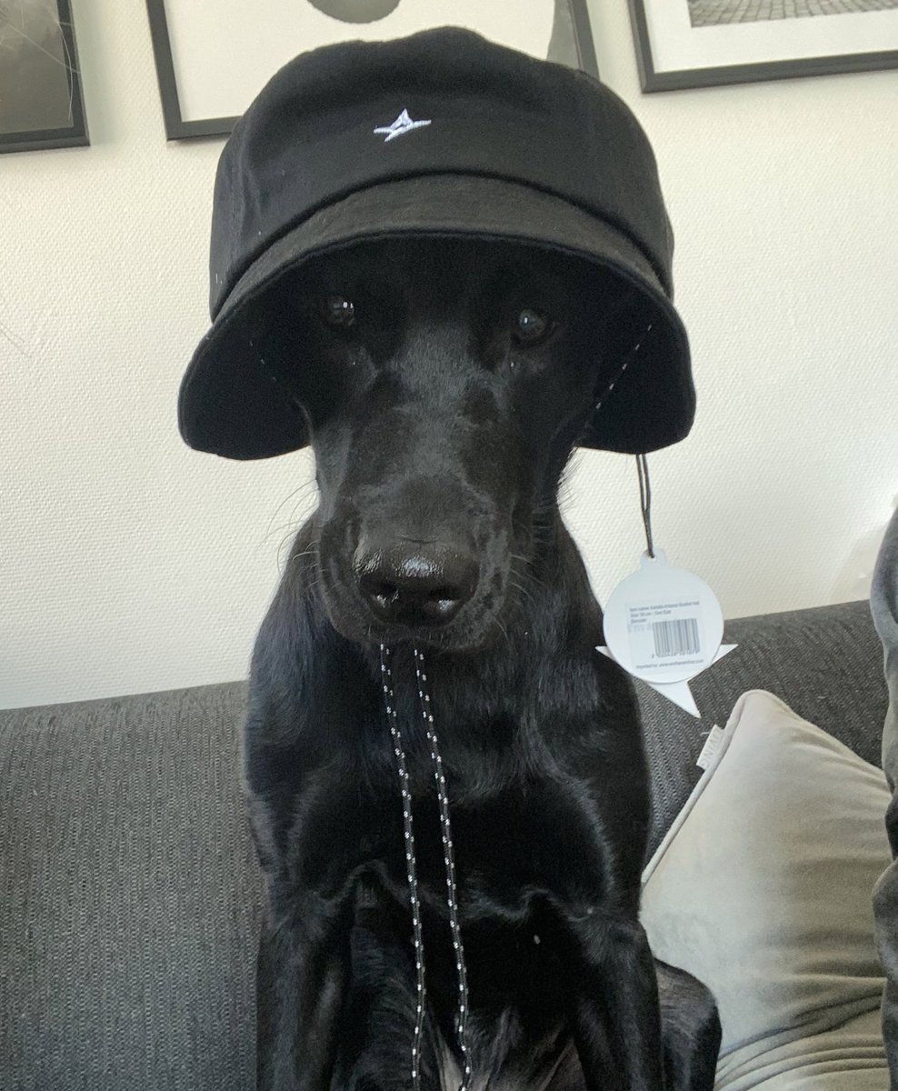 quite a serious astralis fan apparently