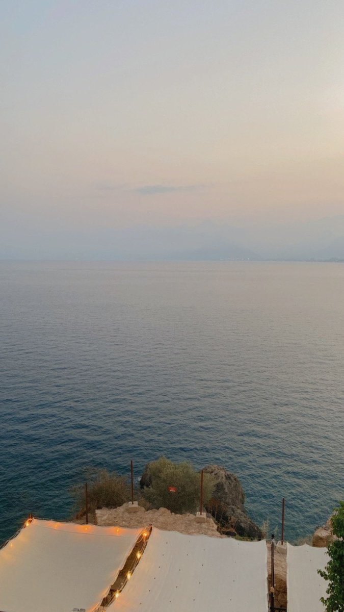 İpeksland.NFT ✨ tweet media