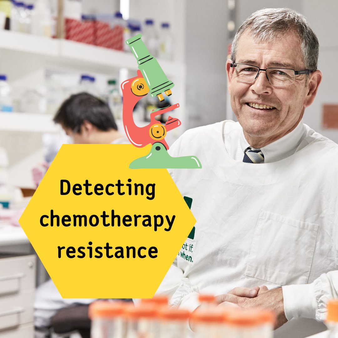 KidsCancerProj's tweet image. Most childhood sarcoma patients achieve clinical remission with a “one-size-fits-all” chemotherapy approach. 

Learn more about Professor Glenn Marshall's project and the cutting-edge cancer research we help fund: fal.cn/3qPi2