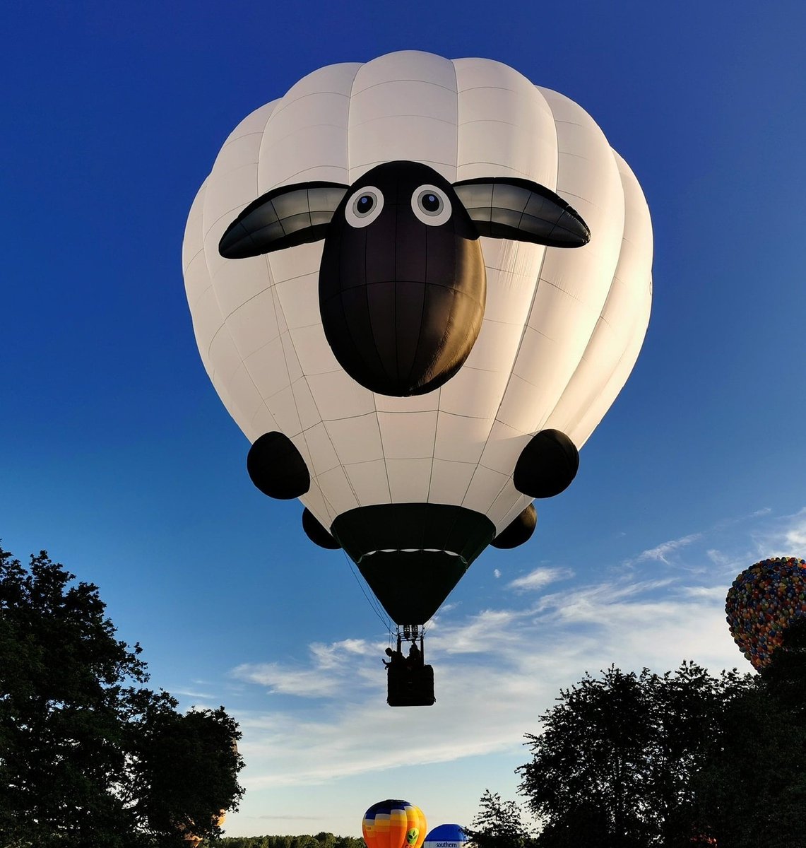 Telford & Wrekin Council on Twitter "We are thrilled that Dolly The