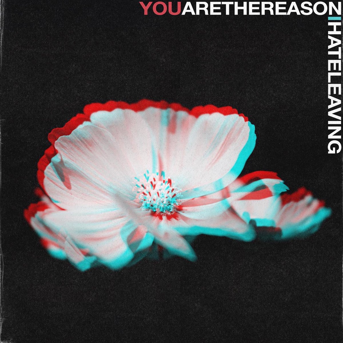Dudetripsuk's tweet photo. One whole year of ‘You Are the Reason I Hate Leaving’ 💐

Thank you for listening x

@VennRecords https://t.co/goj3jGqLho