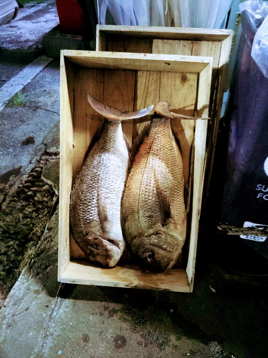 okunocchi802's tweet photo. ７月の釣果メモ。大きいマダイは養魚場の外側夜釣りで‼️泳いでるの見えてました、60オーバー3キロくらい。内側でもヒレピンの天然マダイの良型一本取れました。 https://t.co/FsBGzPK0RI
