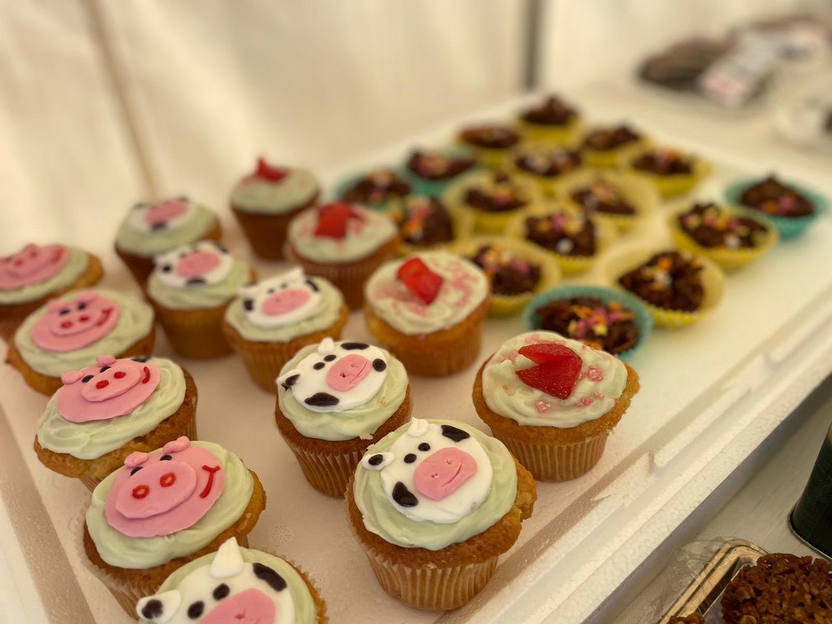 ShropFarmVets's tweet photo. The cake sale is on at Oswestry Show - we are raising money for the cousin of our vet Nathan, who has had severe illness with long covid. Please pop by today if you are at the show! Follow the link to find out more https://t.co/9WF3V5FpiN https://t.co/hq90yFSc37