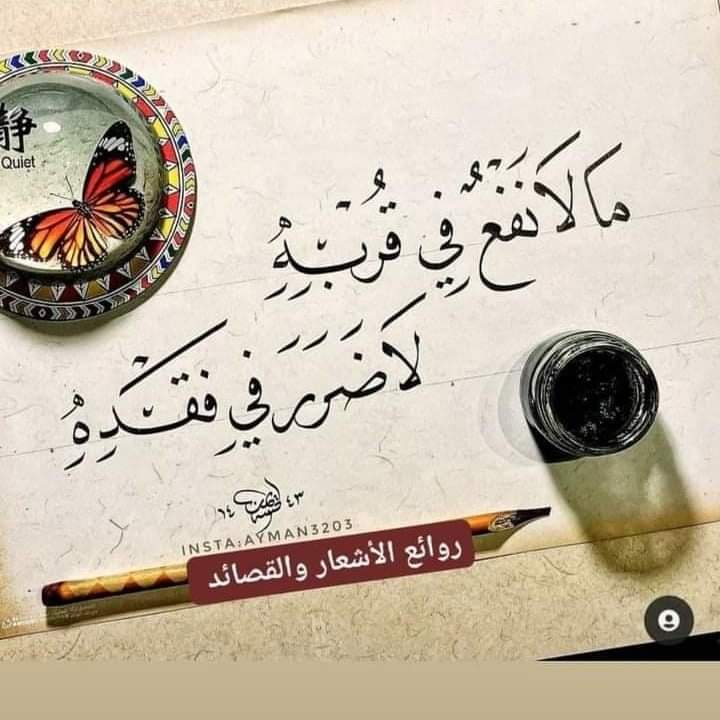 اللي فــقـدنـي في غـيـابي انا افديه 
واللي نساني جعل دربه تسـاهيــل
واللــي تجاهلـنــي وانــا ماجـفيـتــه
ماعاد له في وسط قلبـي مسـاهـيـل
واللي ليا شراني بعمري شــريــتــه
يبشر بعزه لو يبي الجدي وسهيـل🐍