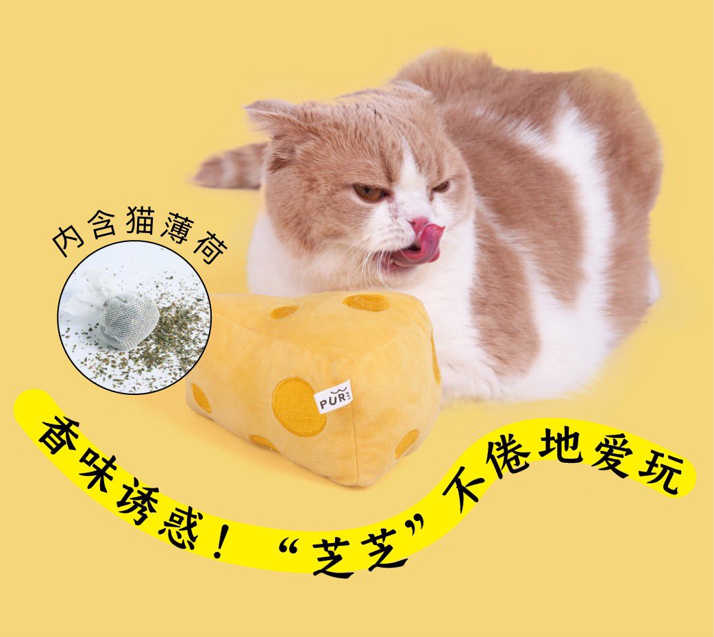 jeffbcattery's tweet photo. 〰️ Preorder 〰️ 
🧀 ก้อนชีส ไส้แคทนิป 🧀

✖️Price : 135฿✖️

📌 จ่ายตอนของมา แต่ห้ามเทน้า
📍ปิดรับ 10/8 

(รอของ 25-30 วัน)#jeffbcatpre 

☁️ mention/ dm จองได้เลยค่า ☁️ https://t.co/PJTdR80qRB