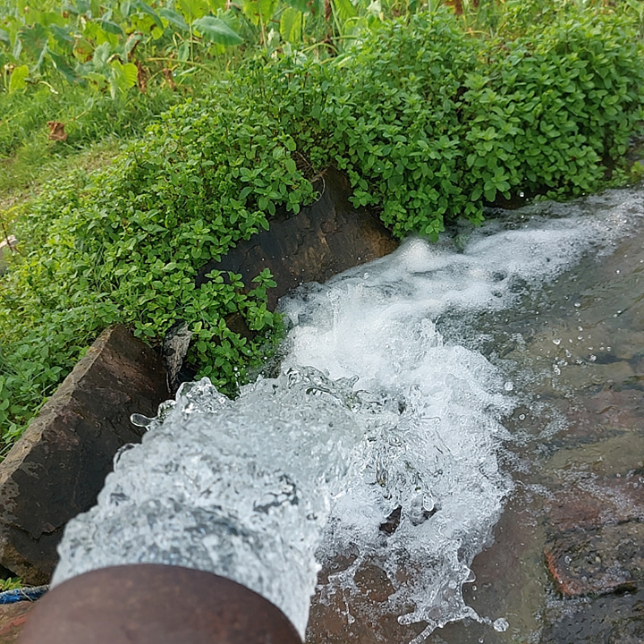 hsaini1133's tweet photo. Mint near Tuble in field https://t.co/qw4u9BaQxM