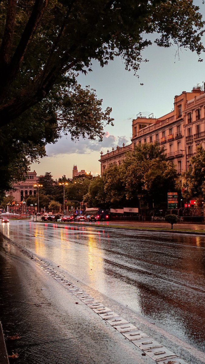 Tras la tormenta ⛈️