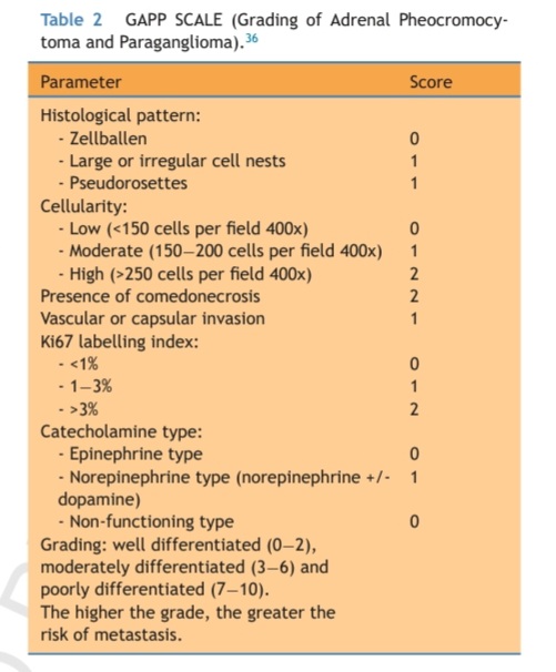 ✍Our review has been published in <a href="/actasurologicas/">actasurologicas</a> 

📌Surgical and postsurgical management of abdominal paragangliomas and pheochromocytomas

sciencedirect.com/science/articl…
<a href="/NeuroendocrinoS/">NeuroendocrinoSEEN</a> <a href="/sociedadSEEN/">Sociedad SEEN</a>