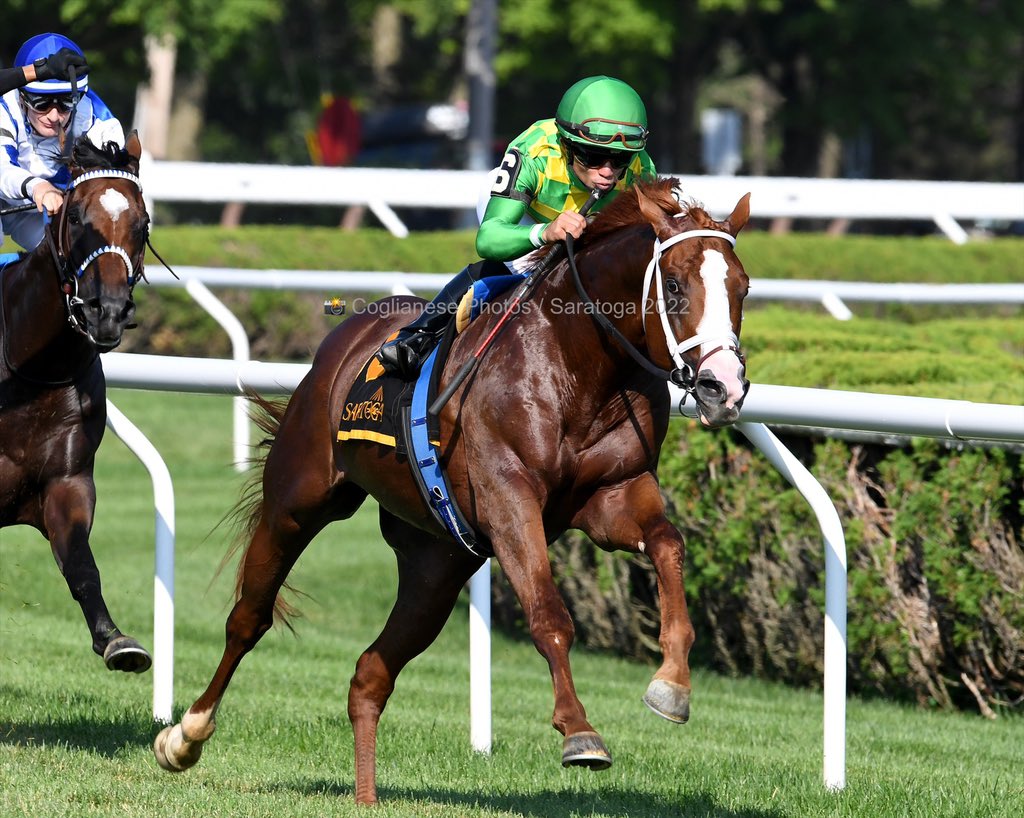 artilespascualf's tweet photo. #6Aug National Museum Of Racing Hall Of Fame Gr.2 $200,000 grama #Saratoga 

Ready to Purrform 6-3 $263,100
Jockey: Joel Rosario 
Trainer: Brad Cox 
Propietario: Donegal Racing 
Tiempo: 1:33”4 (1 Mile)

📸 @coglianesephoto https://t.co/HCMmbGFEEC